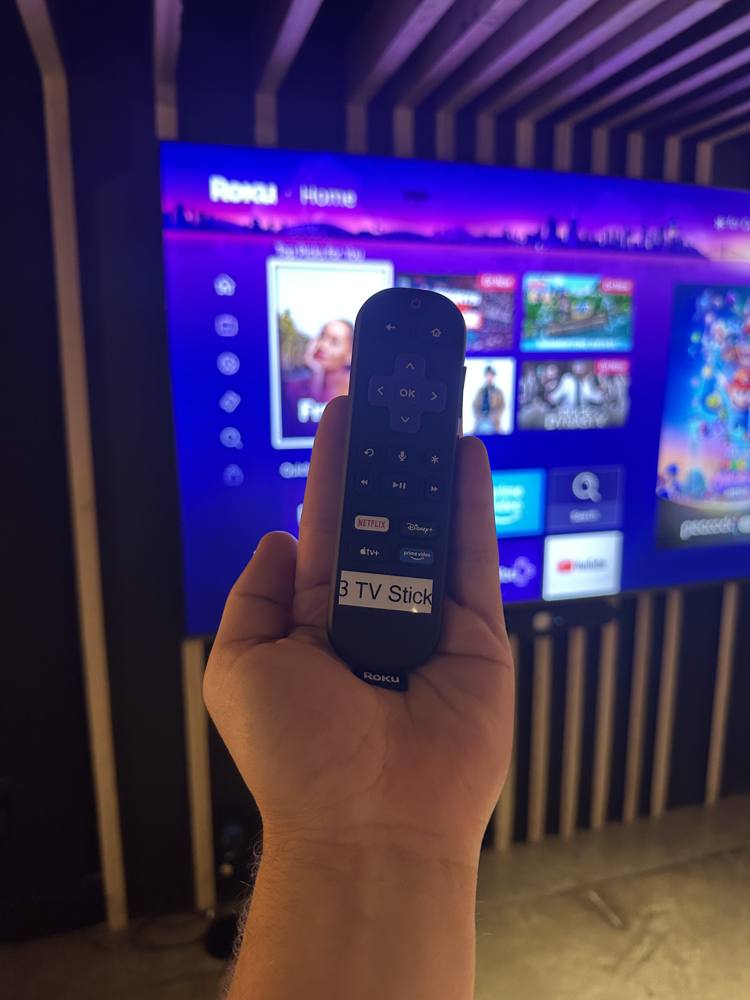3 TV Stick remote in hand